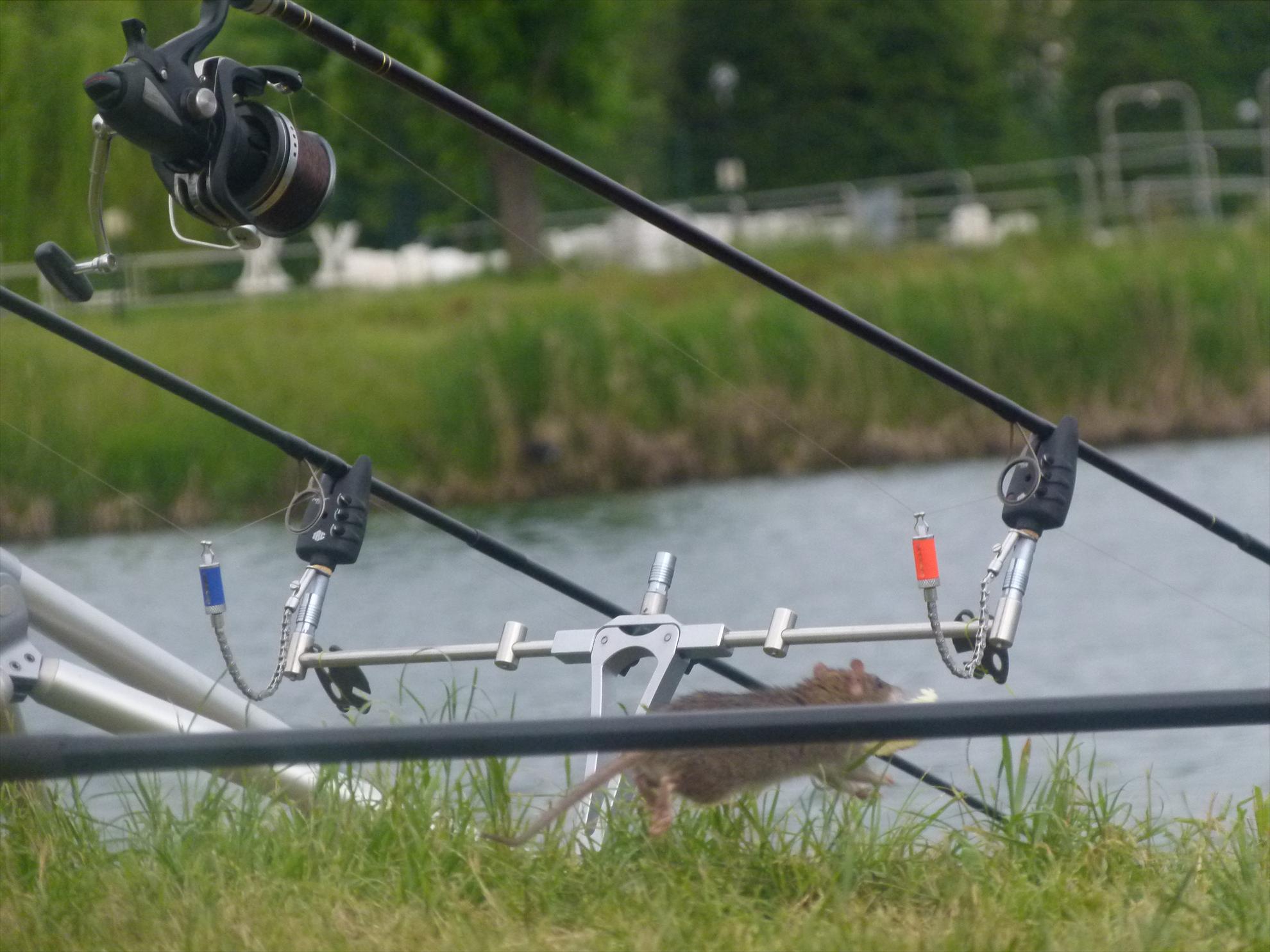 SALASCO 17 - 23 mai. - p1030483.JPG